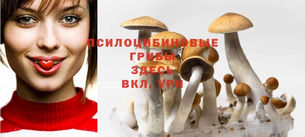 трава Аркадак