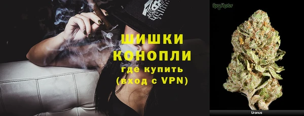 трава Аркадак