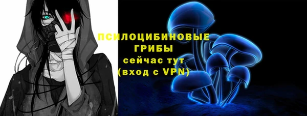 2c-b Алексин