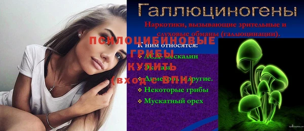 твердый Арсеньев