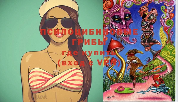 хмурый Липки